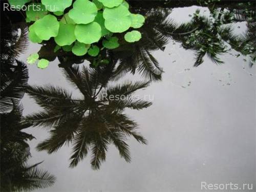 Four Seasons Resort Bali at Sayan 22